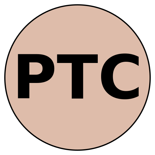 Paragon Travel Co.